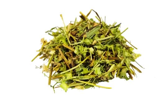 بادرنجبویه باغی بادرنجبویه باغی